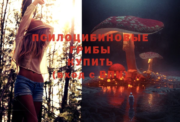 дурь Аркадак