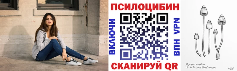 сайты даркнета клад  Темрюк  Псилоцибиновые грибы Psilocybe 